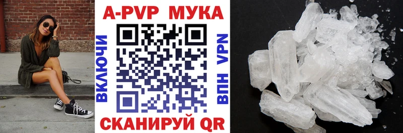 APVP СК  Грязовец 